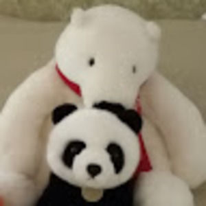 Meet your Posher, Patty